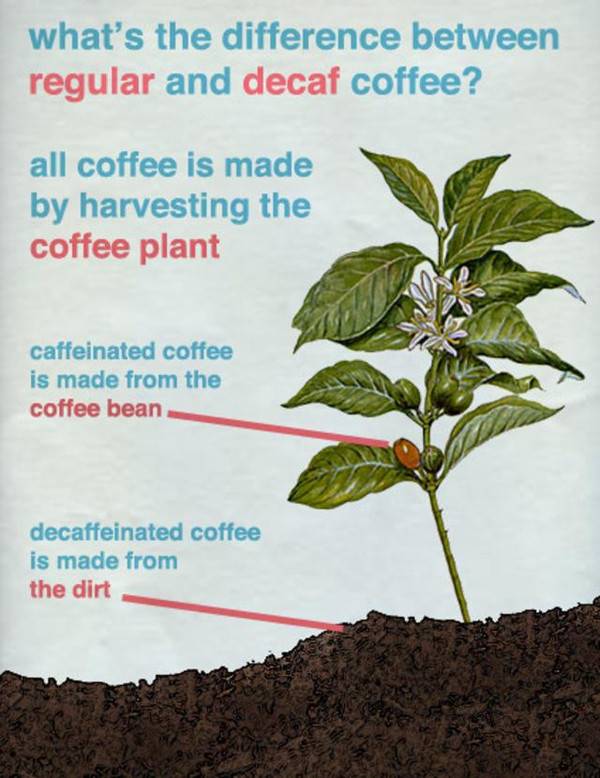 How decaf coffee is made How decaf coffee is made