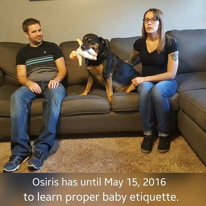 "So my cousin had a special announcement..." "So my cousin had a special announcement..."
